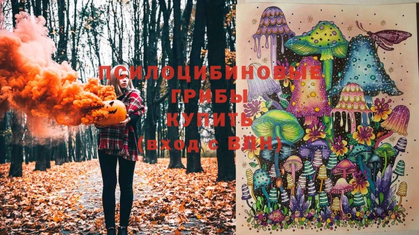 амф Алзамай