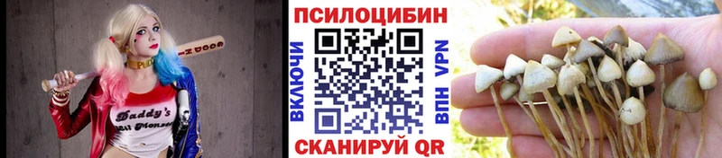 Псилоцибиновые грибы MAGIC MUSHROOMS  Лесосибирск 